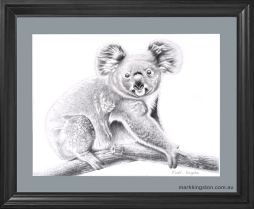 Framed-Koala-Bushfire-Tribute