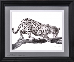 Leopard-Framed-feb-23-DSC_3679