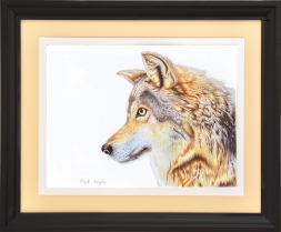 Strongbow-framed