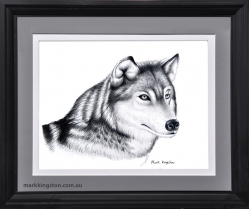 Wolf-Framed-feb-2024-DSC_3679