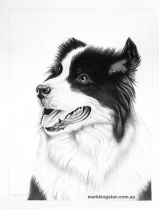 1_Mitch-finished-small-file-June-2023-IMG_9029