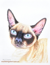 Georgie-Finished-2nd-June-2023_DSC2936