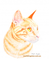 Henry-by-Mark-Kingston-Sept-2020