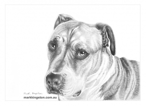 Lolly-finished-24th-Dec-2022-markk-Kingston-DSC_2395