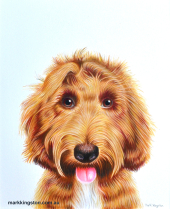 Millie-finished-v4-DSC_0482
