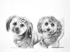 Pippa-Bella-Stage-5-Cropped-2-DSC_3682
