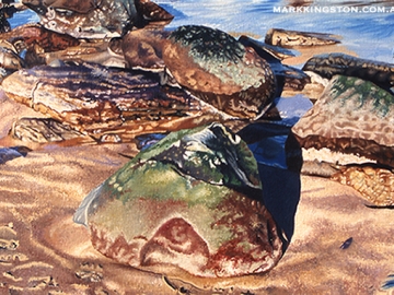 Rocks with Tidal Pool 72dpi 6th March 2014 copy