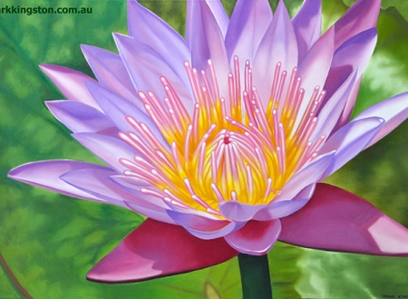 Water Lily DSC_1424 72dpi