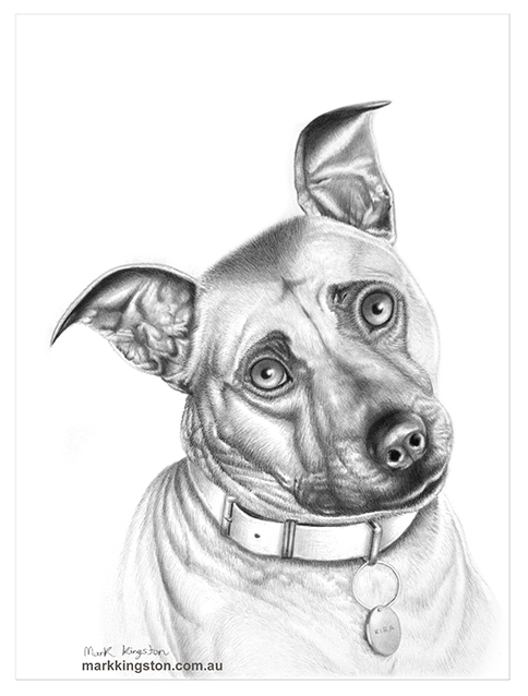 Dog's Sketch picture, by rssatnam for: line work drawing contest -  Pxleyes.com